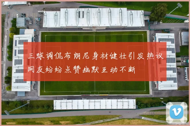 三球调侃布朗尼身材健壮引发热议网友纷纷点赞幽默互动不断