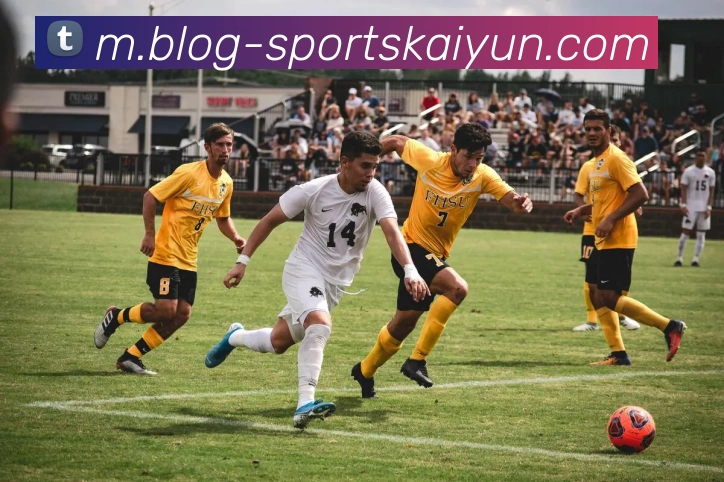 开云体育APP 体育赛事宣传图